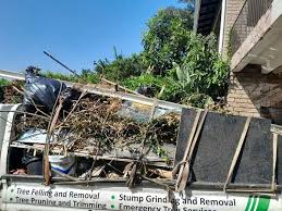 Best Retail Junk Removal  in Central City, IA