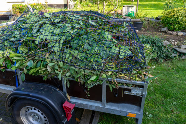 Best Same-Day Junk Removal Services  in Central City, IA